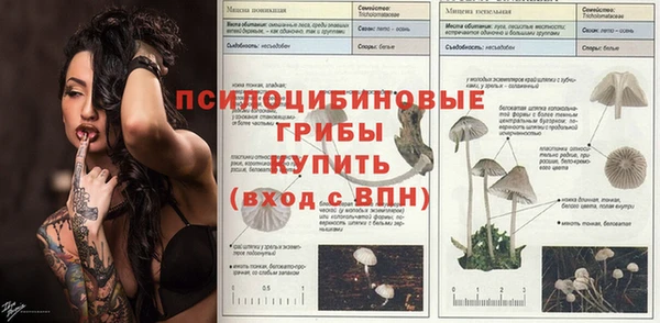 мяу мяу кристалл Гусь-Хрустальный