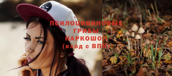 мяу мяу кристалл Гусь-Хрустальный