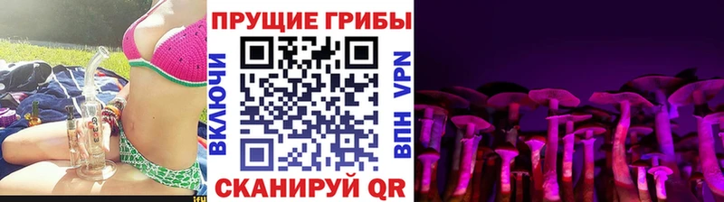 Псилоцибиновые грибы Magic Shrooms  Купить где  Адыгейск 